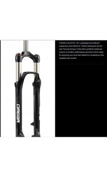 RST OMEGA 29" FORK